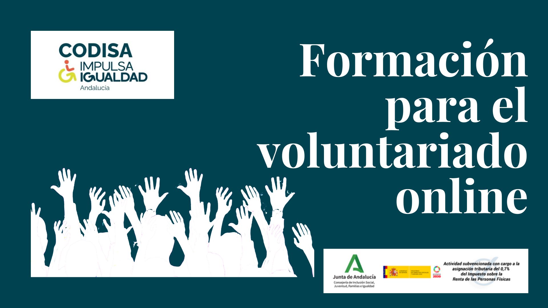Formación para el Voluntariado Online
