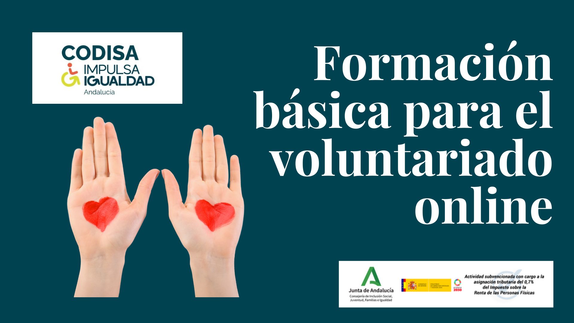 Formación básica para el voluntariado online