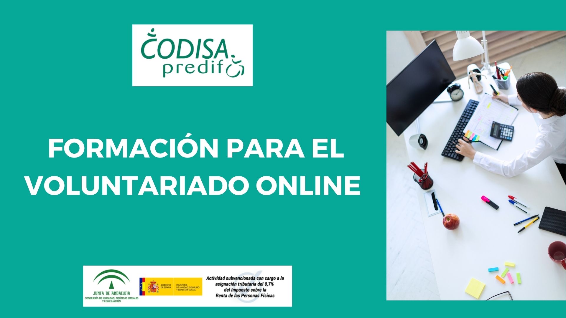 imagen curso codisa